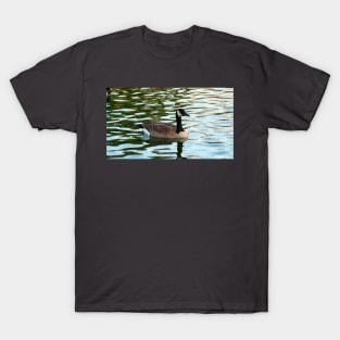 Canada Goose Swimming T-Shirt